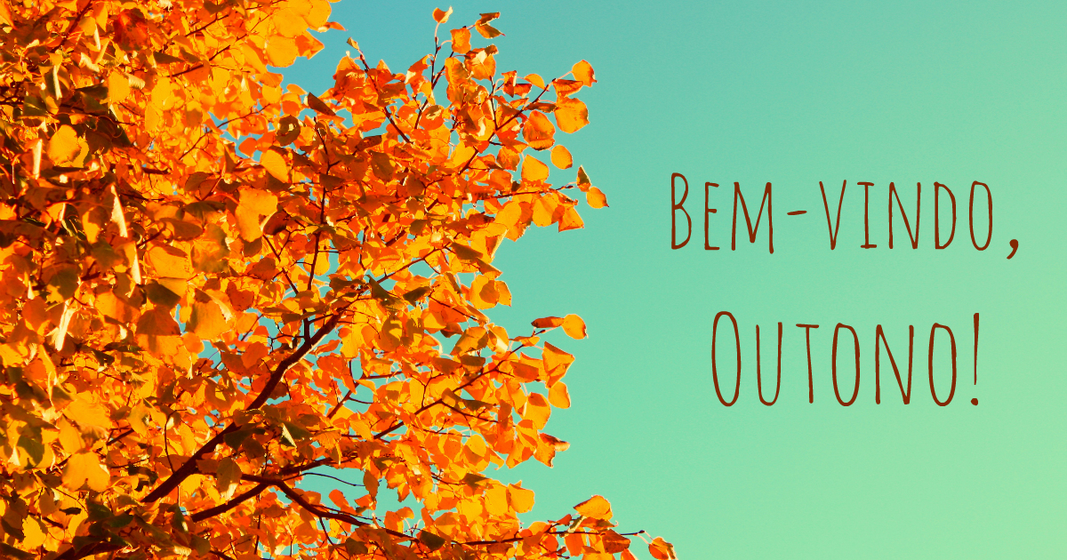 Gente que AMA outono! BEM-VINDO! » Ambientallis