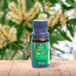 Óleo Essencial MELALEUCA / TEA TREE para Aromaterapia - 10 ml